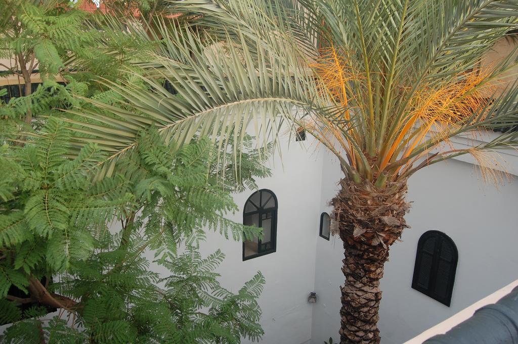 מרקש Riad O Ly מראה חיצוני תמונה
